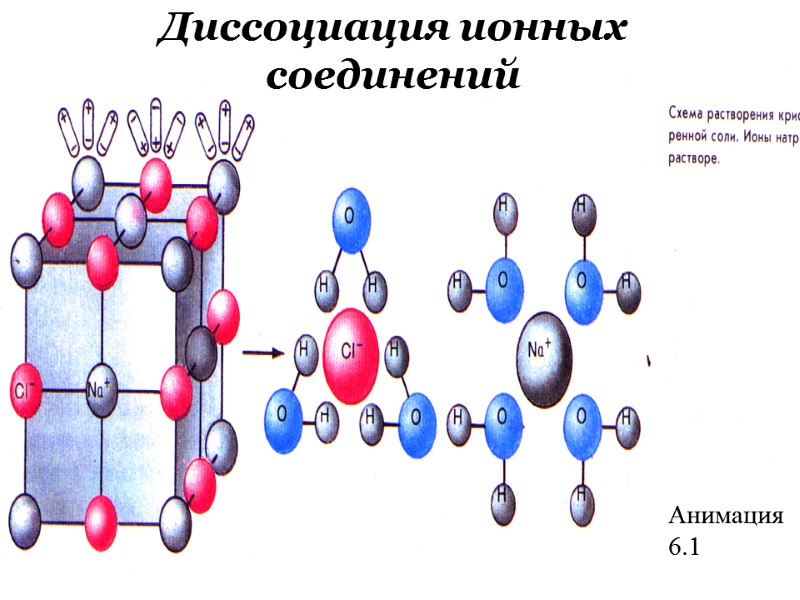 Анимация 6.1 Диссоциация ионных соединений
